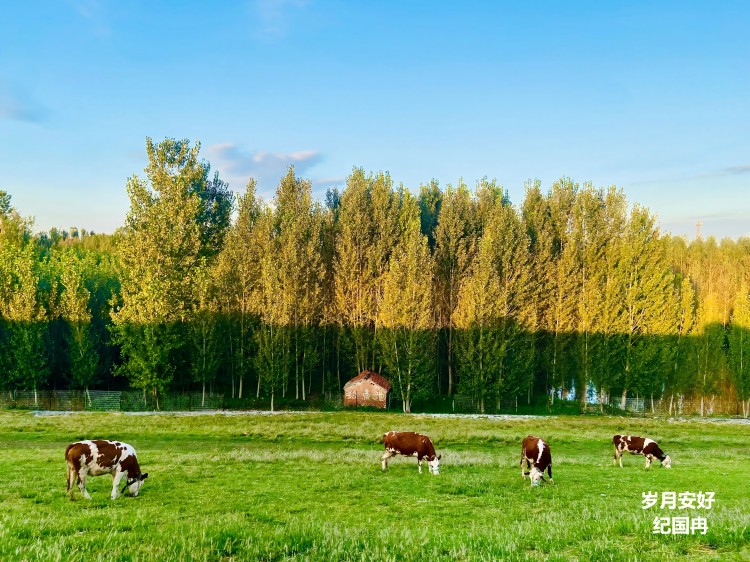 5.歲月安好 紀國冉 戰(zhàn)略投資部.jpg